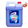 Toilet Cleaner 5L